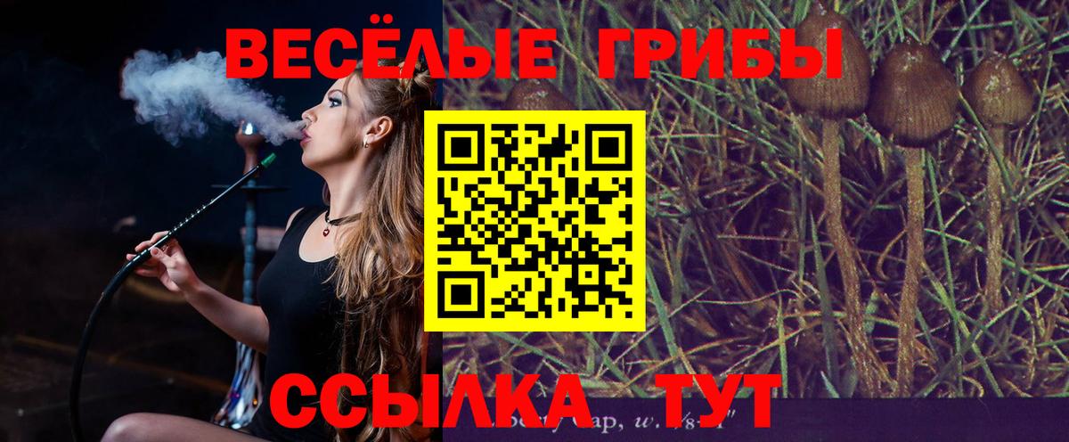 Кингисепп  как найти закладки  Вход с VPN  Псилоцибиновые грибы мухоморы  Галлюциногенные грибы Cubensis 
