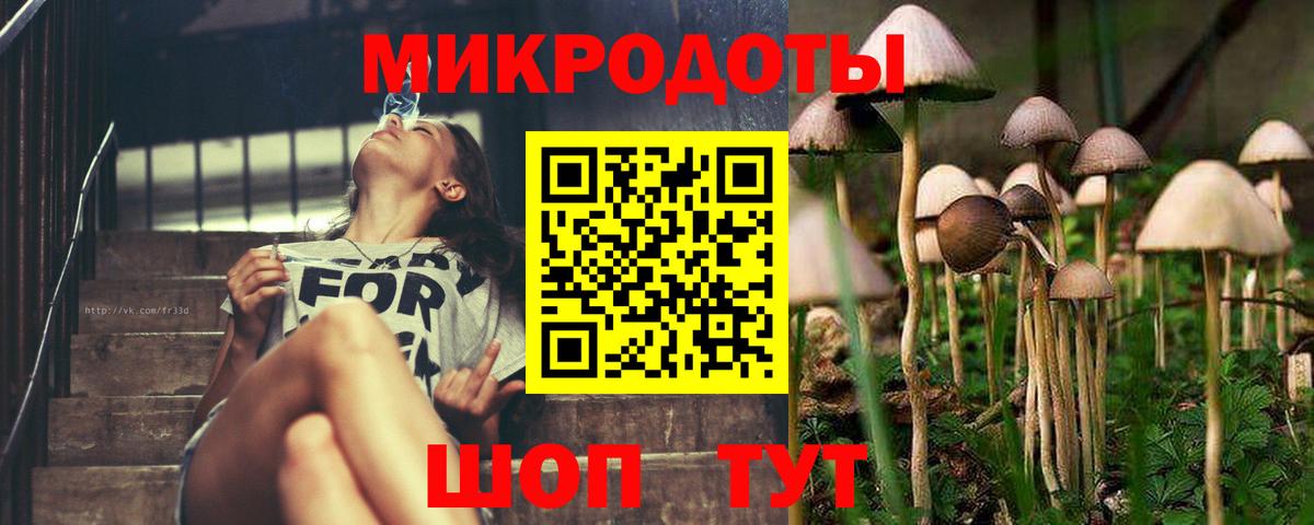 Псилоцибиновые грибы прущие грибы Кингисепп